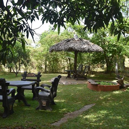 Sigiri Dilu Villa Sigirija Zewnętrze zdjęcie